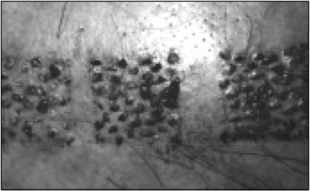 Figure 5.