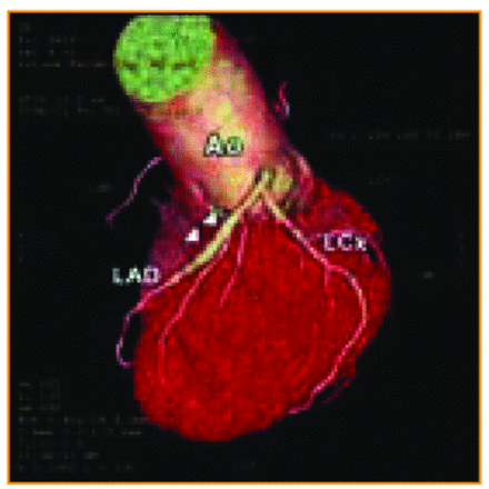 Figure 2.