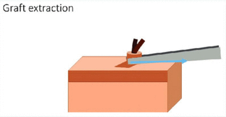 FIGURE 15.