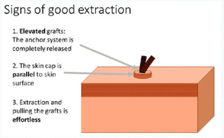 FIGURE 19.