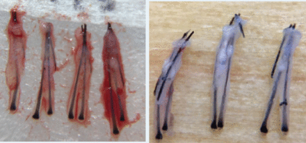FIGURE 4.