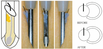 FIGURE 4.